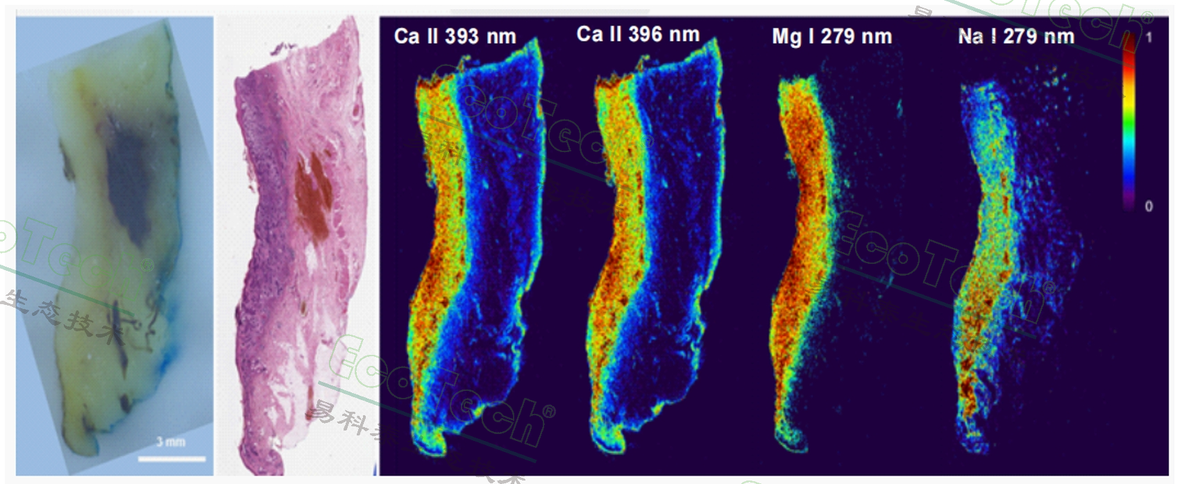 ��ҳ| ����֮��hy590���¹ٷ���վ