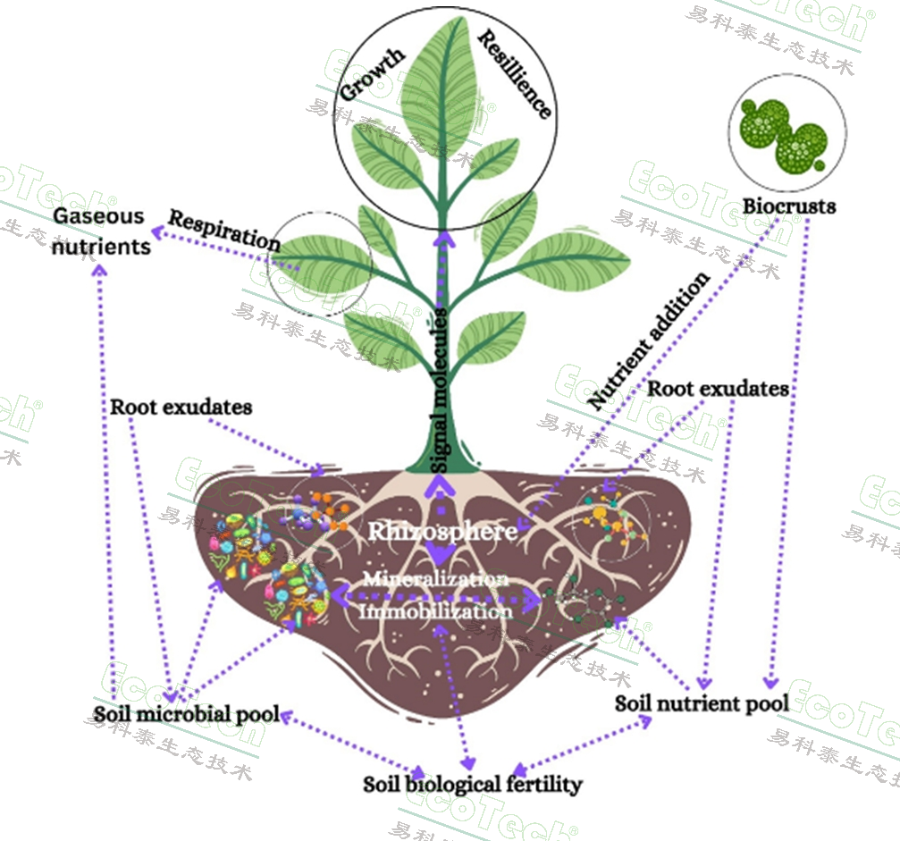 ��ҳ| ����֮��hy590���¹ٷ���վ