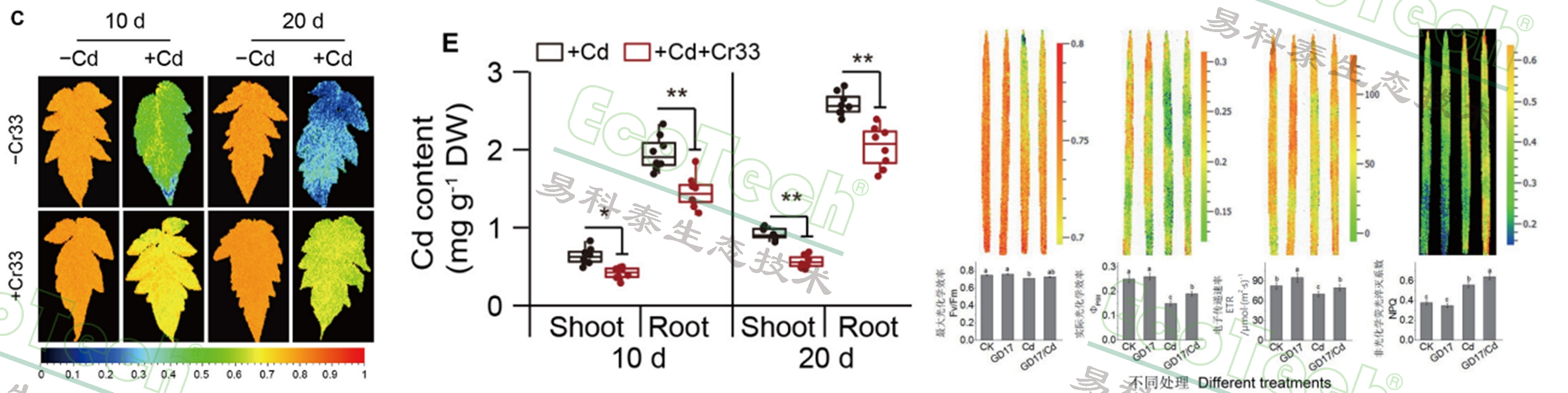 ��ҳ| ����֮��hy590���¹ٷ���վ