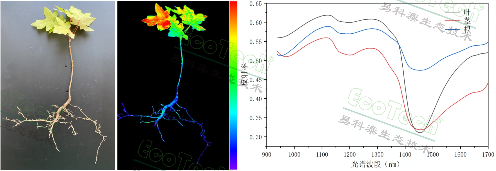 ��ҳ| ����֮��hy590���¹ٷ���վ