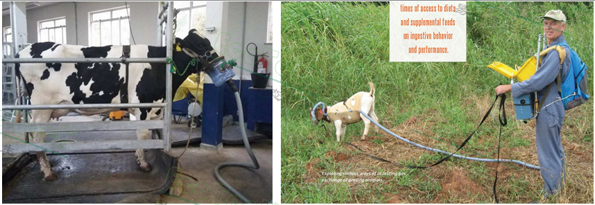 Ê×Ò³| º£ÑóÖ®Éñhy590×îйٷ½ÍøÕ¾