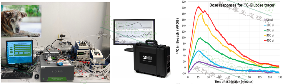 Ê×Ò³| º£ÑóÖ®Éñhy590×îйٷ½ÍøÕ¾