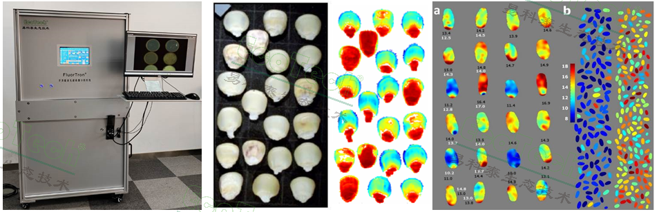 Ê×Ò³| º£ÑóÖ®Éñhy590×îйٷ½ÍøÕ¾