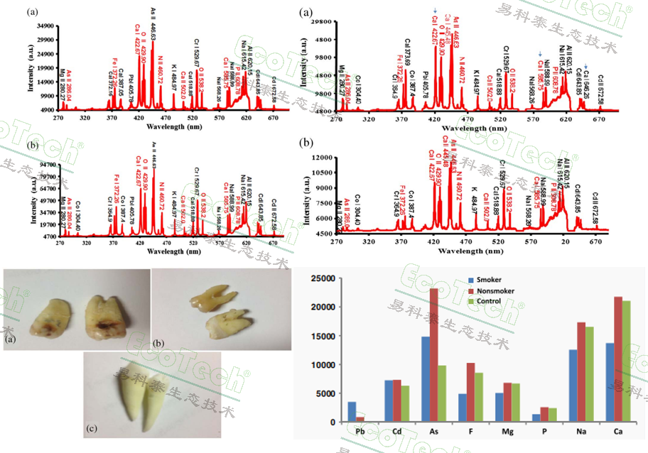 首页| 海洋之神hy590最新官方网站