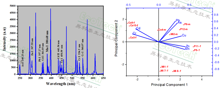 首页| 海洋之神hy590最新官方网站