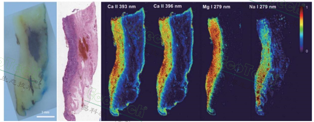 首页| 海洋之神hy590最新官方网站