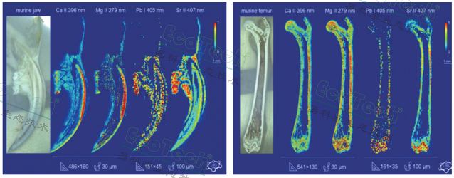 首页| 海洋之神hy590最新官方网站