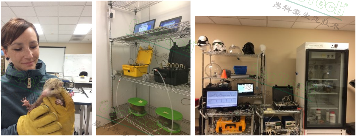 首页| 海洋之神hy590最新官方网站