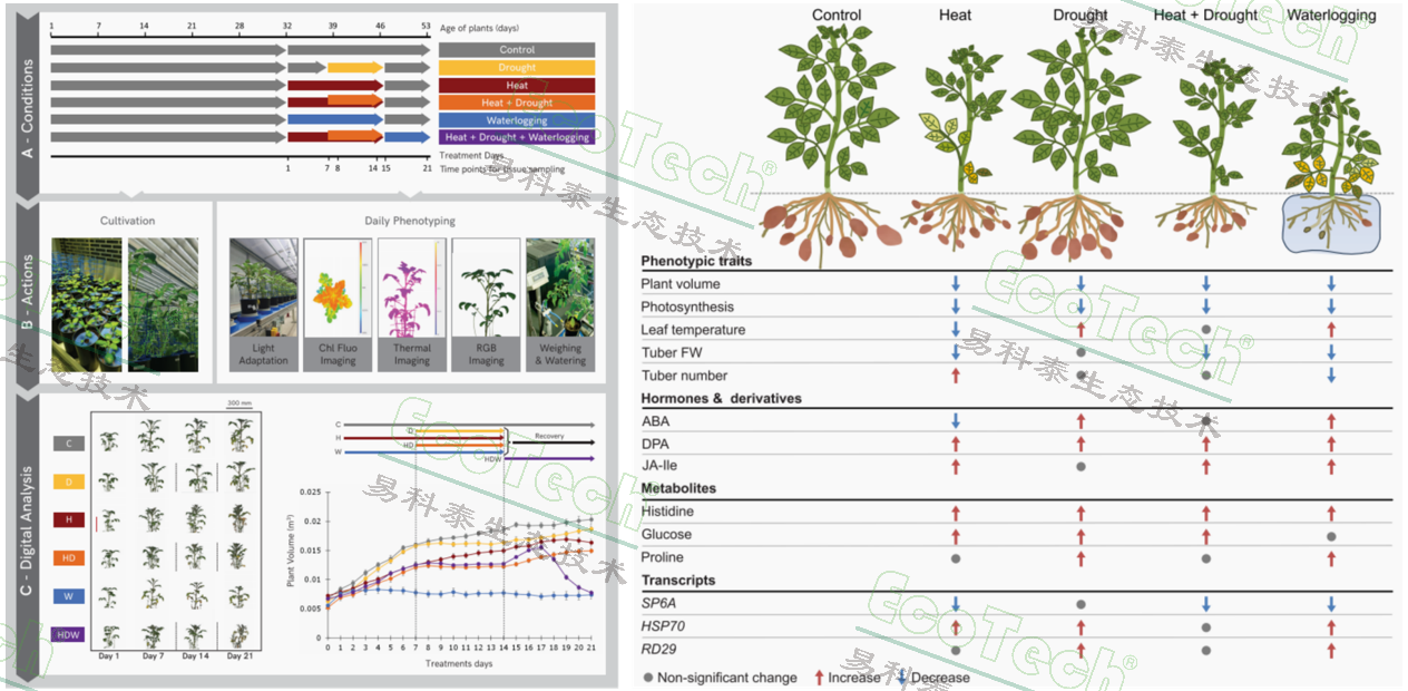 ��ҳ| ����֮��hy590���¹ٷ���վ
