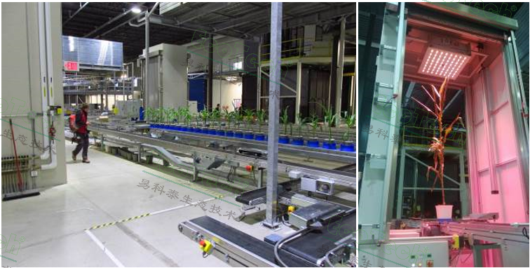 ��ҳ| ����֮��hy590���¹ٷ���վ