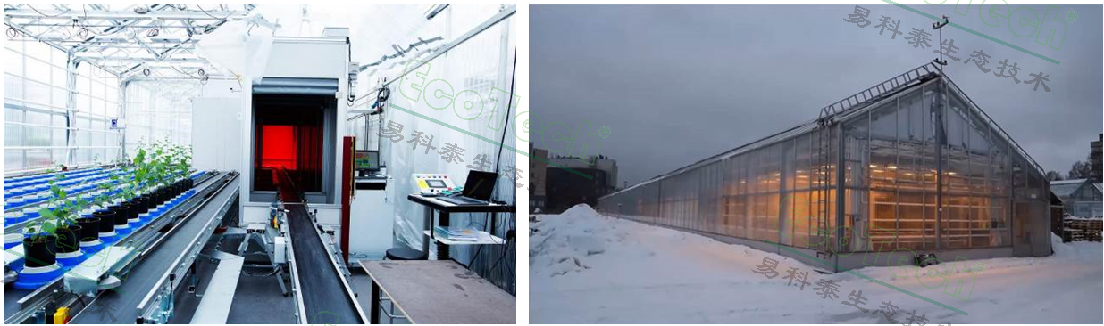 Ê×Ò³| º£ÑóÖ®Éñhy590×îйٷ½ÍøÕ¾