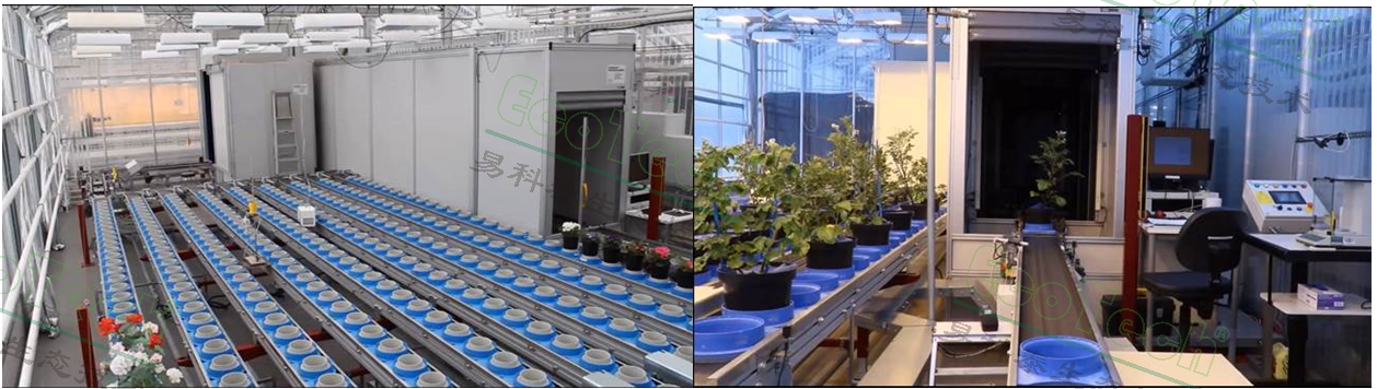 Ê×Ò³| º£ÑóÖ®Éñhy590×îйٷ½ÍøÕ¾