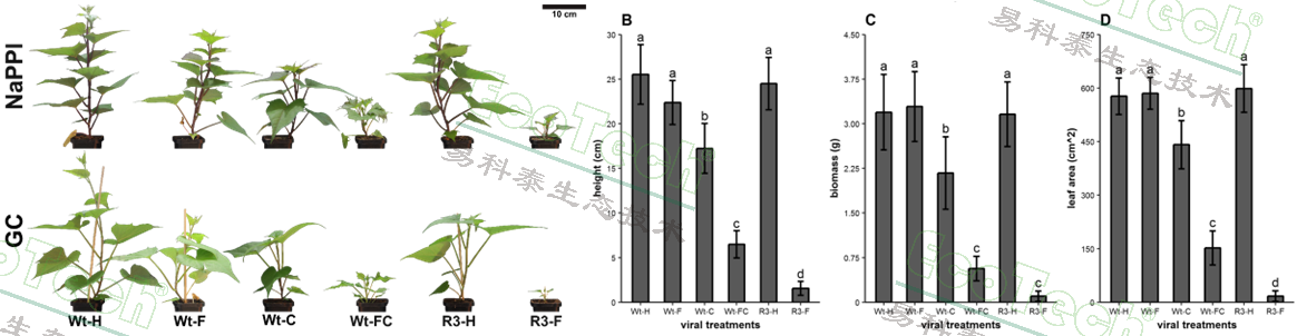 Ê×Ò³| º£ÑóÖ®Éñhy590×îйٷ½ÍøÕ¾