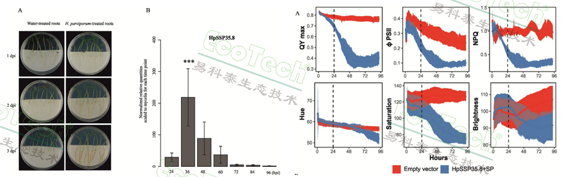 Ê×Ò³| º£ÑóÖ®Éñhy590×îйٷ½ÍøÕ¾