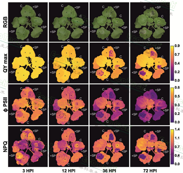 Ê×Ò³| º£ÑóÖ®Éñhy590×îйٷ½ÍøÕ¾
