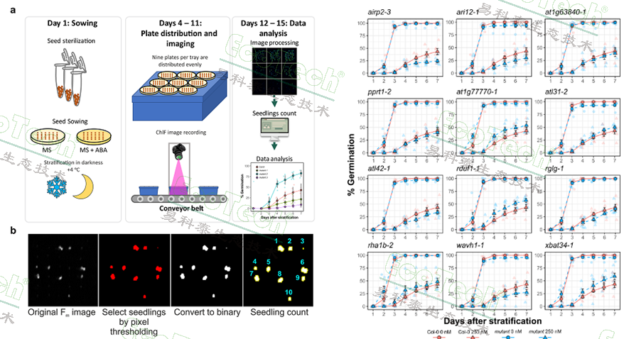 Ê×Ò³| º£ÑóÖ®Éñhy590×îйٷ½ÍøÕ¾
