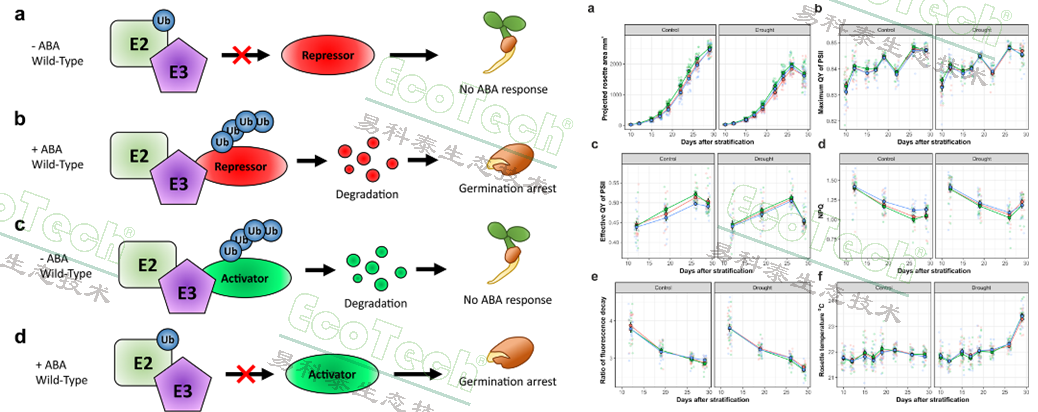 Ê×Ò³| º£ÑóÖ®Éñhy590×îйٷ½ÍøÕ¾