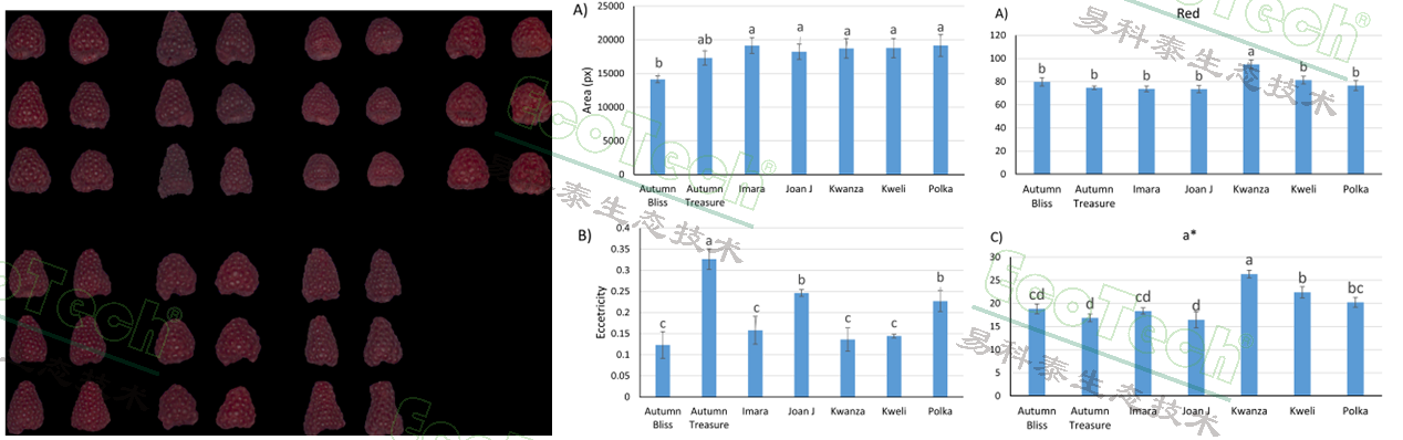 Ê×Ò³| º£ÑóÖ®Éñhy590×îйٷ½ÍøÕ¾