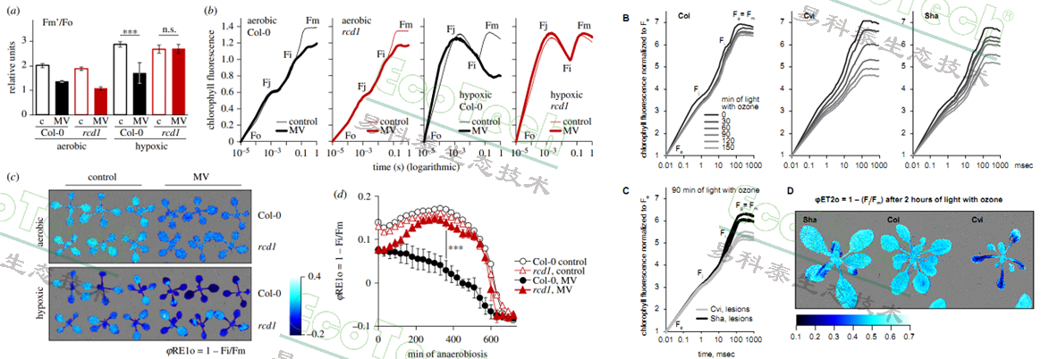 Ê×Ò³| º£ÑóÖ®Éñhy590×îйٷ½ÍøÕ¾