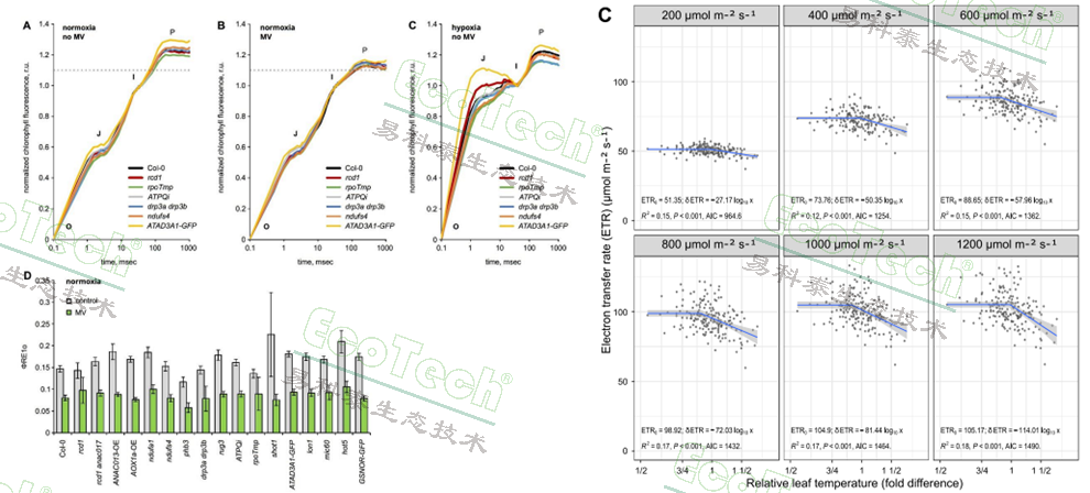 Ê×Ò³| º£ÑóÖ®Éñhy590×îйٷ½ÍøÕ¾