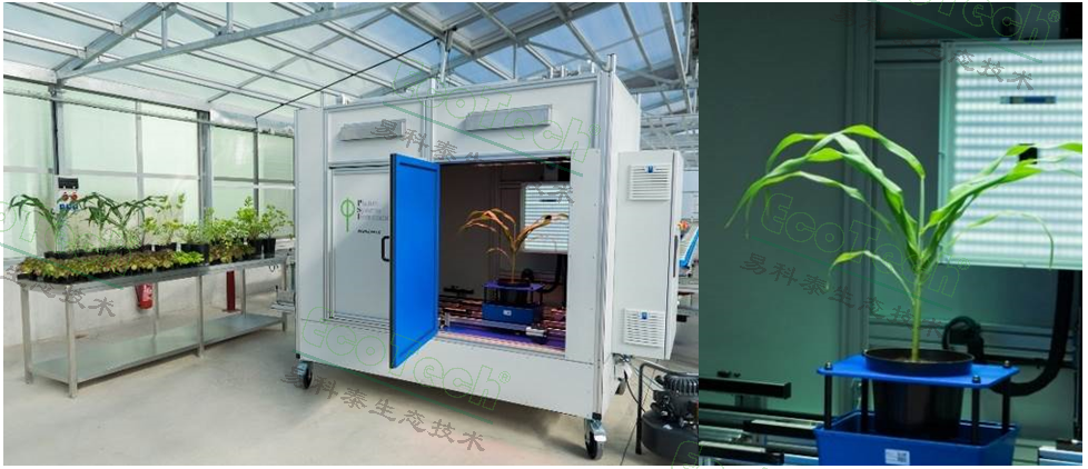 Ê×Ò³| º£ÑóÖ®Éñhy590×îйٷ½ÍøÕ¾