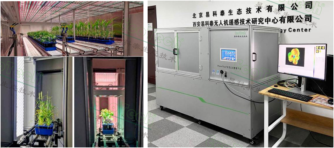 Ê×Ò³| º£ÑóÖ®Éñhy590×îйٷ½ÍøÕ¾