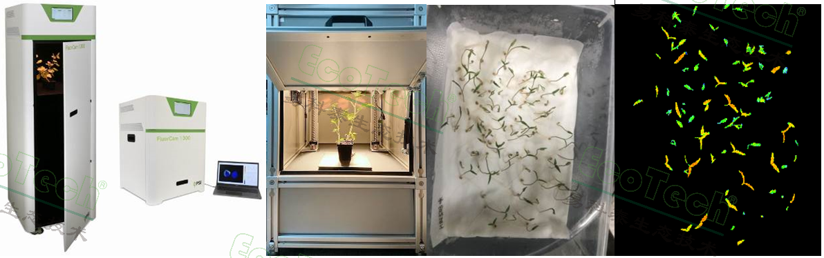 Ê×Ò³| º£ÑóÖ®Éñhy590×îйٷ½ÍøÕ¾