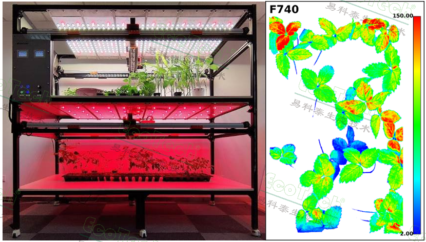 Ê×Ò³| º£ÑóÖ®Éñhy590×îйٷ½ÍøÕ¾