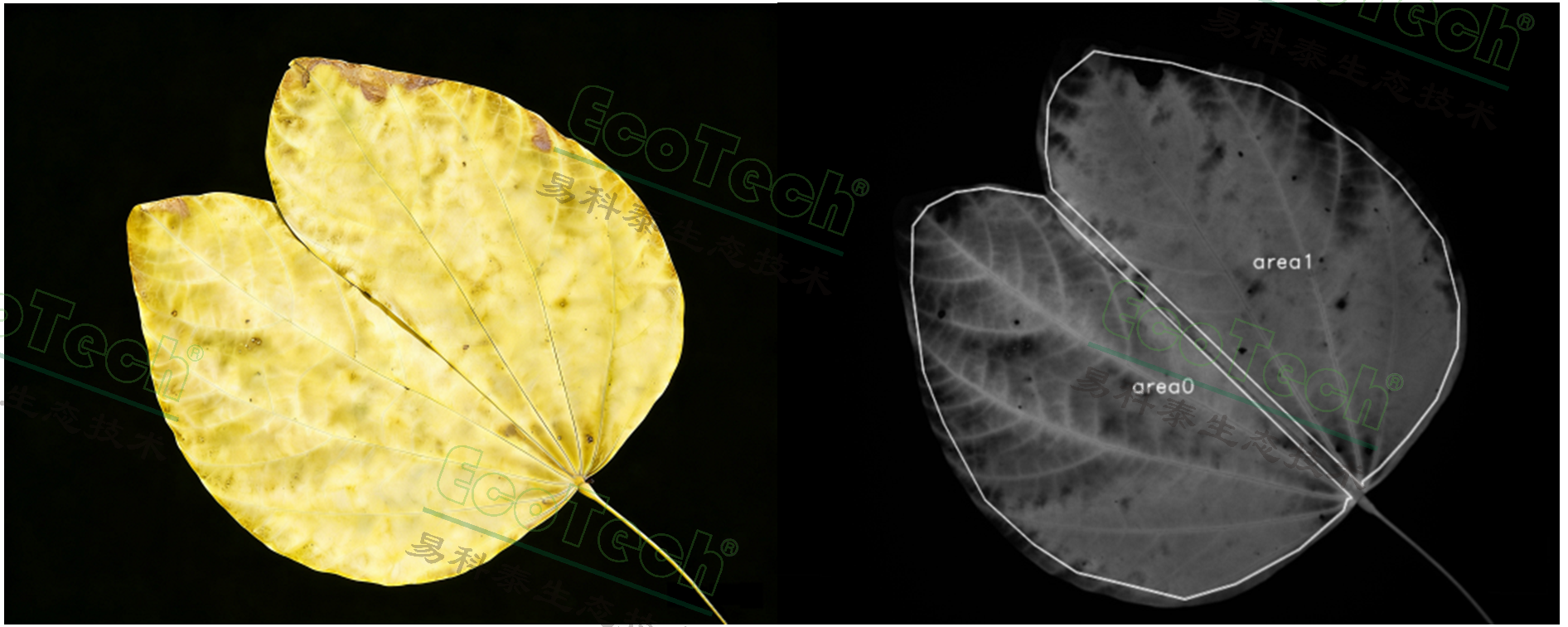 ��ҳ| ����֮��hy590���¹ٷ���վ