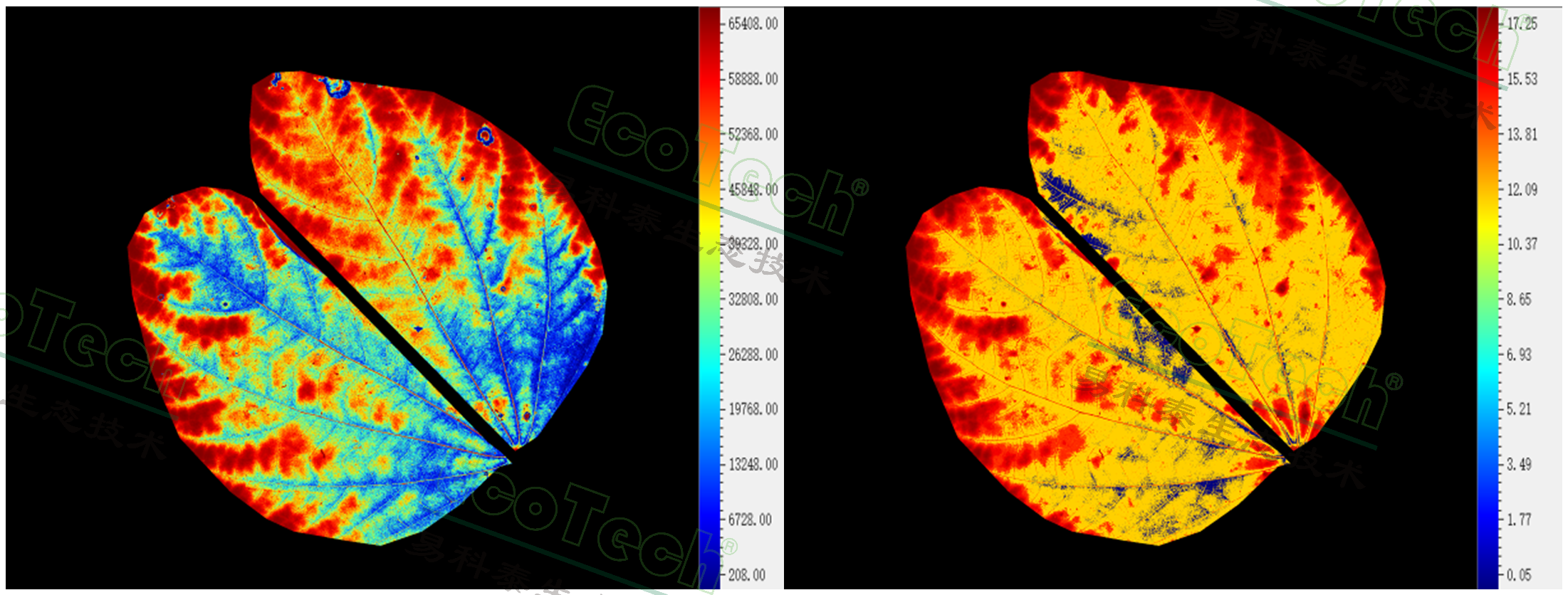 ��ҳ| ����֮��hy590���¹ٷ���վ