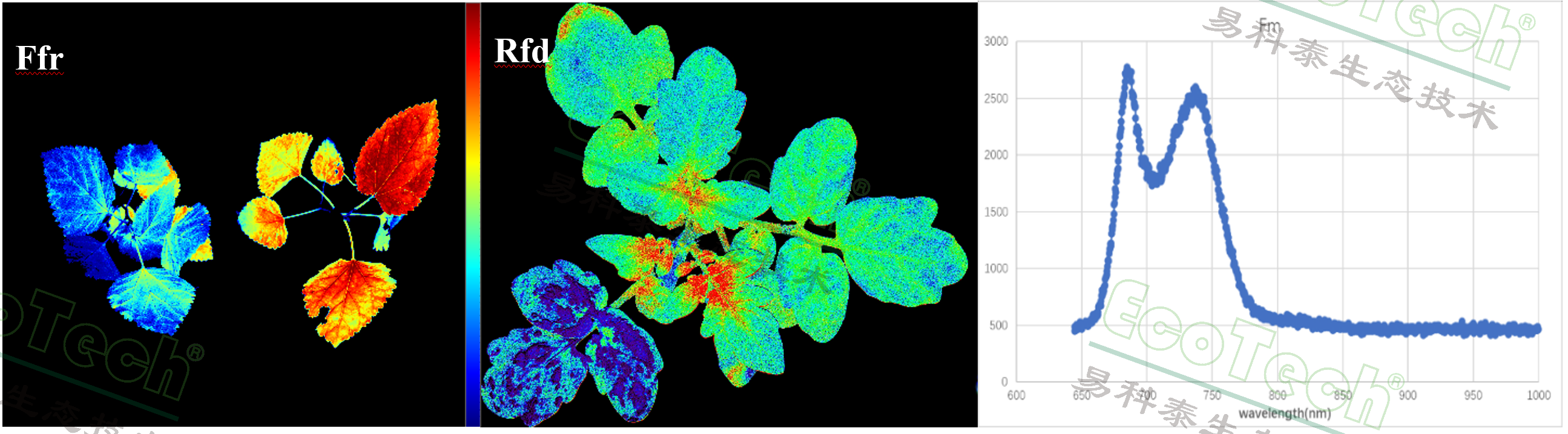 ��ҳ| ����֮��hy590���¹ٷ���վ