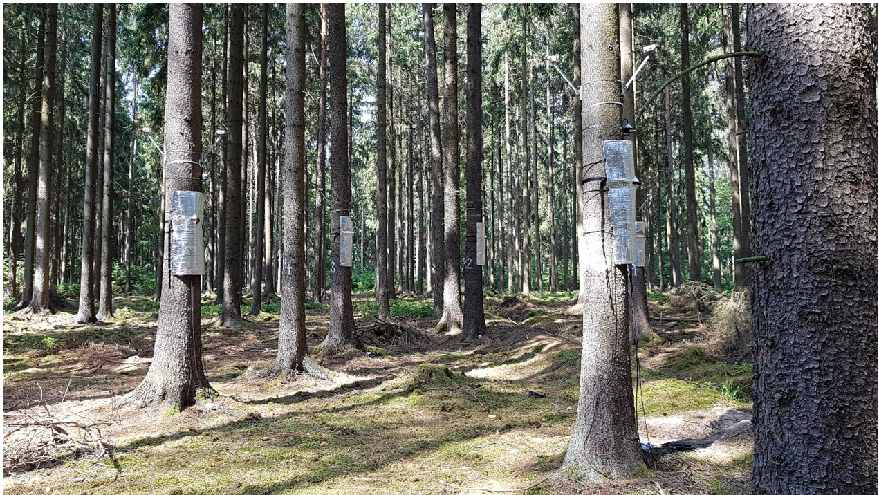 微信截图_20220428163711.png 微信截图_20220428163711.png