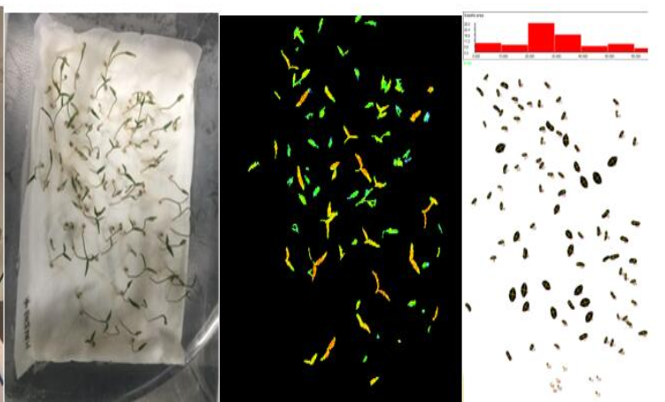 ��ҳ| ����֮��hy590���¹ٷ���վ