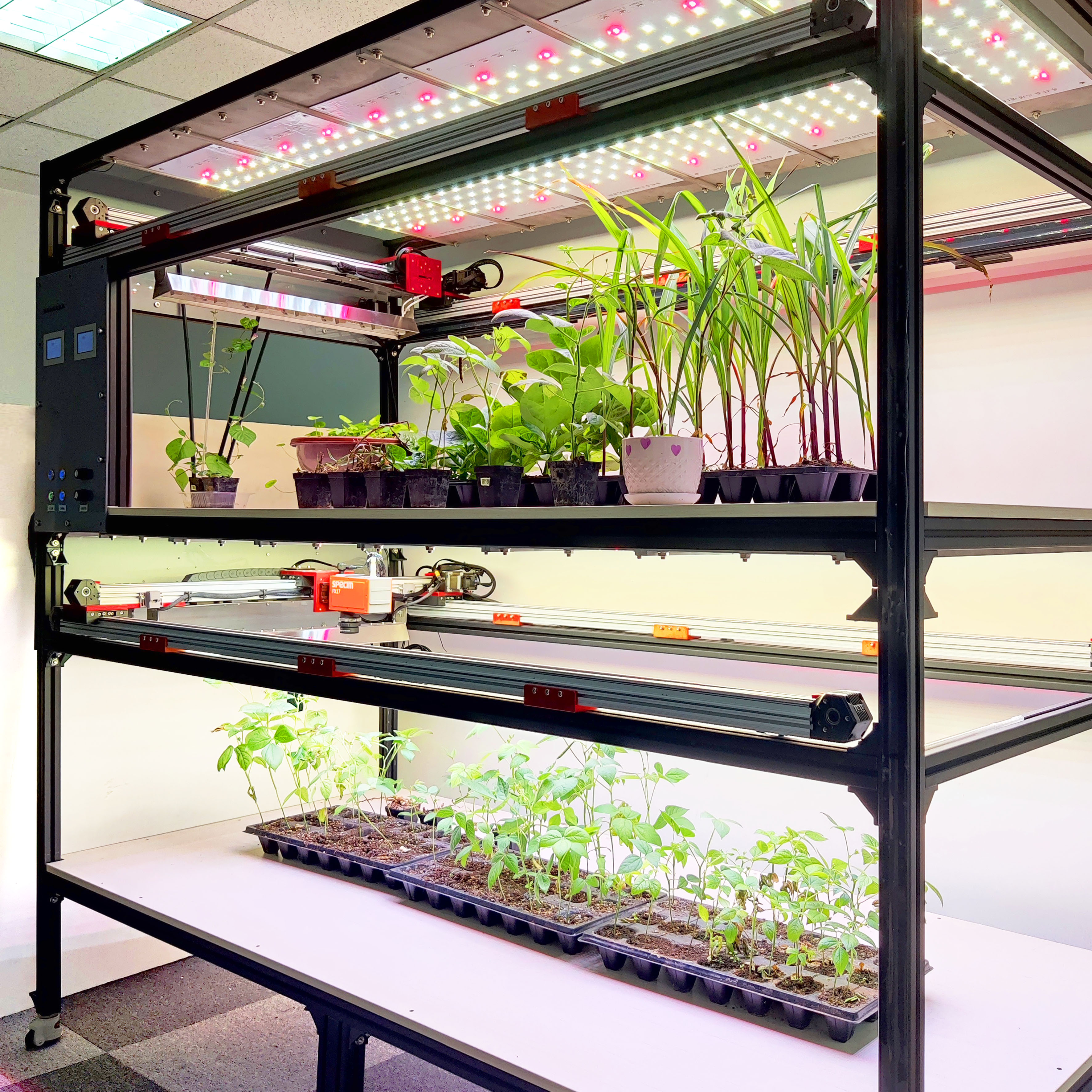 PhenoTron?��ʽ����LED��Դ��������׳�������ƽ̨