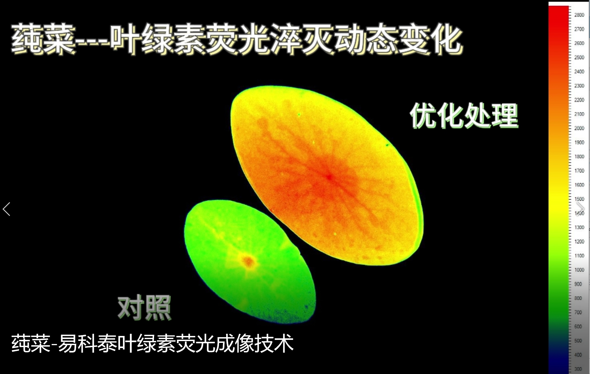 ��ҳ| ����֮��hy590���¹ٷ���վ