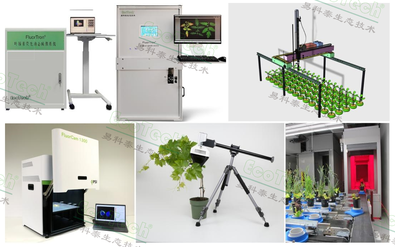 ��ҳ| ����֮��hy590���¹ٷ���վ