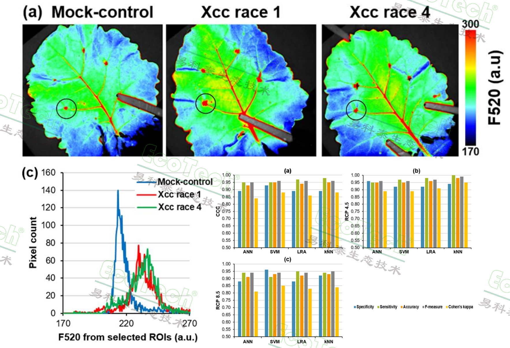 ��ҳ| ����֮��hy590���¹ٷ���վ