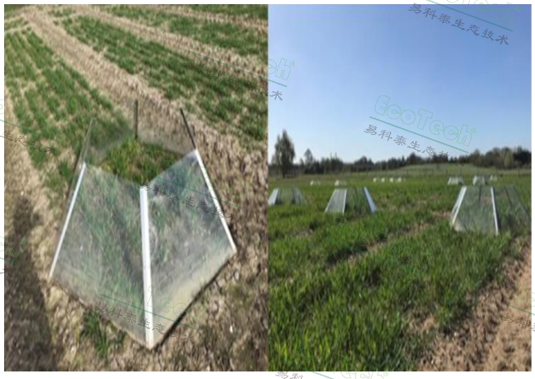 ��ҳ| ����֮��hy590���¹ٷ���վ