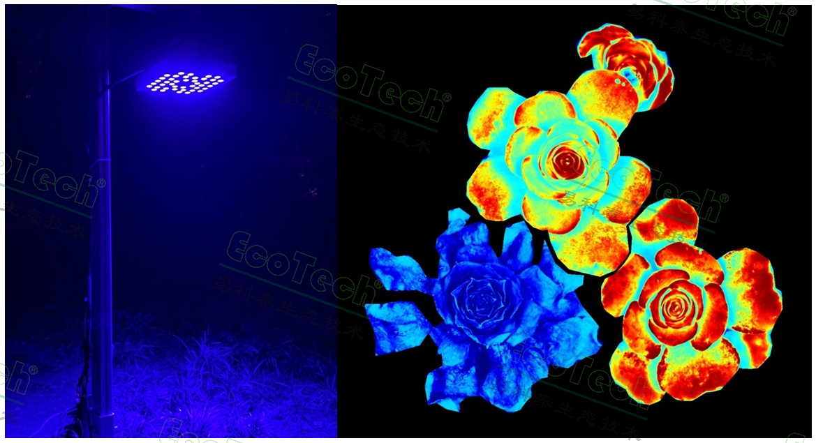 ����֮��590��������ṩ�������������ȫ����ƻ�