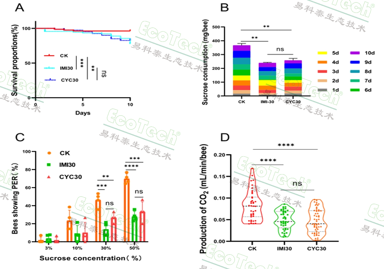 Ê×Ò³| º£ÑóÖ®Éñhy590×îйٷ½ÍøÕ¾