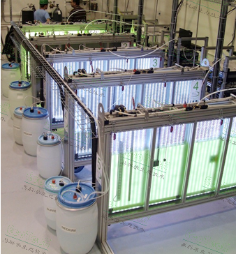 ����֮��590������ڹ������ﷴӦ�����գ� AlgaTech?�������������߼�����ռƻ�