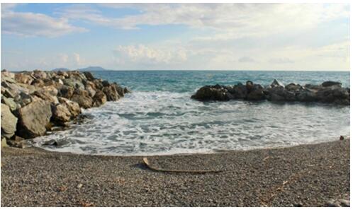 ��ҳ| ����֮��hy590���¹ٷ���վ