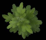 ../../../../../../../Desktop/�г�Ӫ��/2018/��Ѷ/Robin%20PSI/06