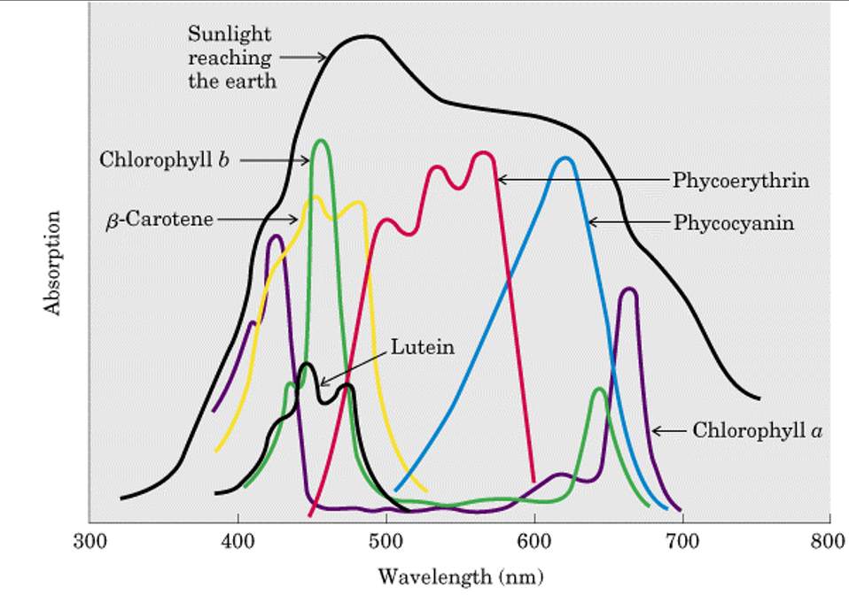 ΢ÐŽØÍ¼_20220610173307.png ΢ÐŽØÍ¼_20220610173307.png