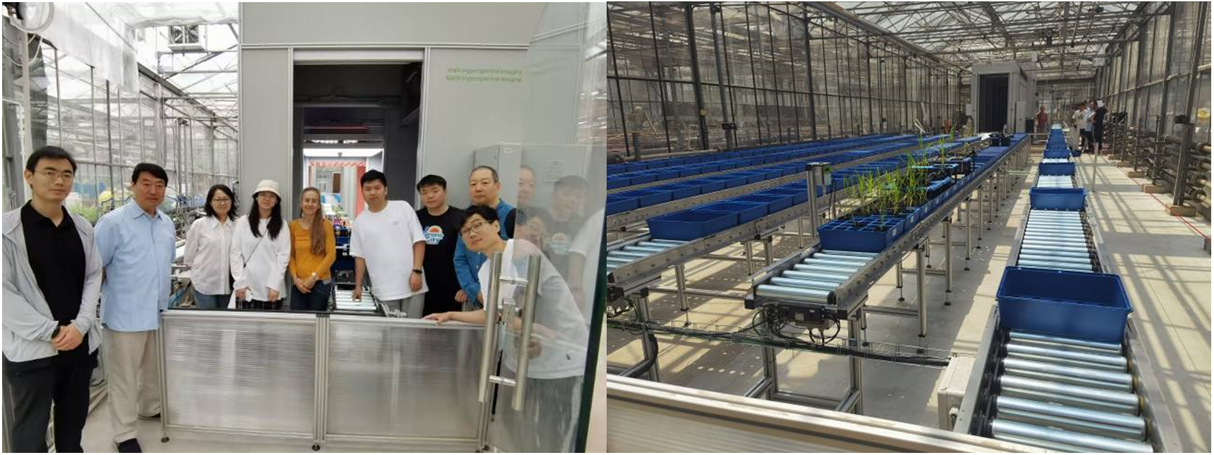 ΢ÐŽØÍ¼_20230605174516.png ΢ÐŽØÍ¼_20230605174516.png