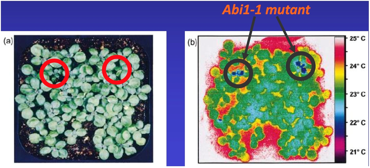 ��ҳ| ����֮��hy590���¹ٷ���վ