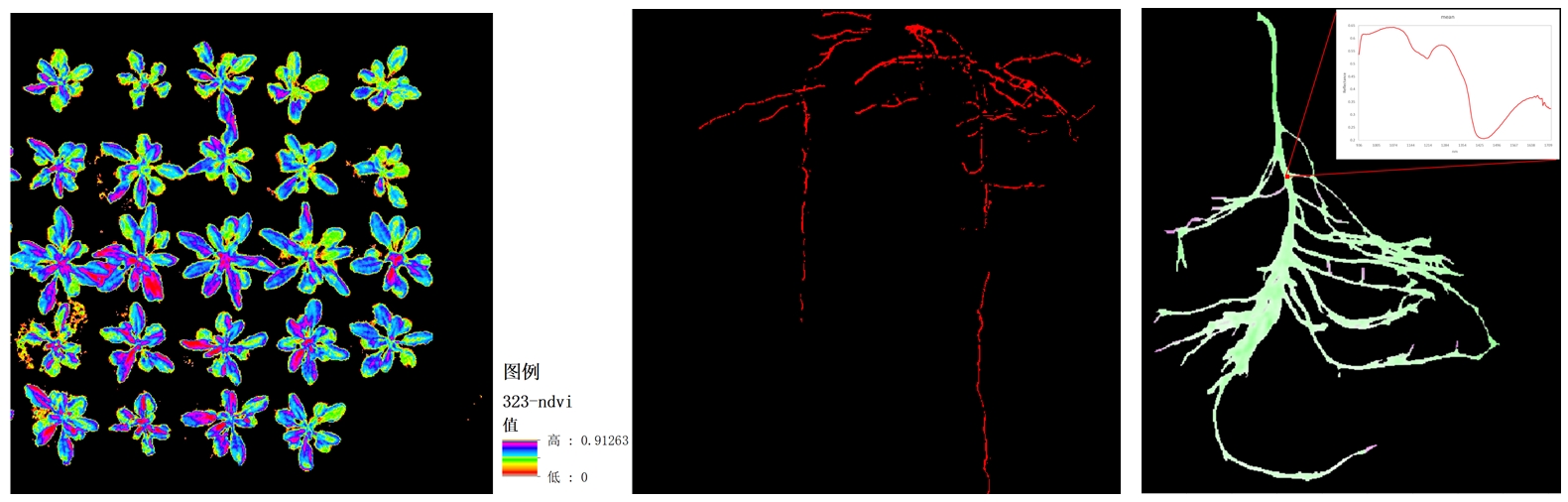 ��ҳ| ����֮��hy590���¹ٷ���վ