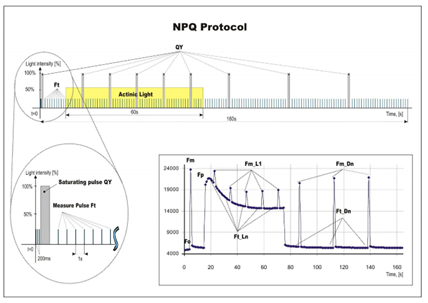 Ê×Ò³| º£ÑóÖ®Éñhy590×îйٷ½ÍøÕ¾