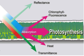 ��ҳ| ����֮��hy590���¹ٷ���վ