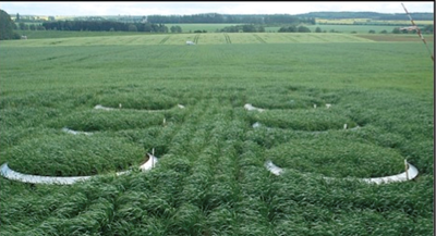 ��ҳ| ����֮��hy590���¹ٷ���վ